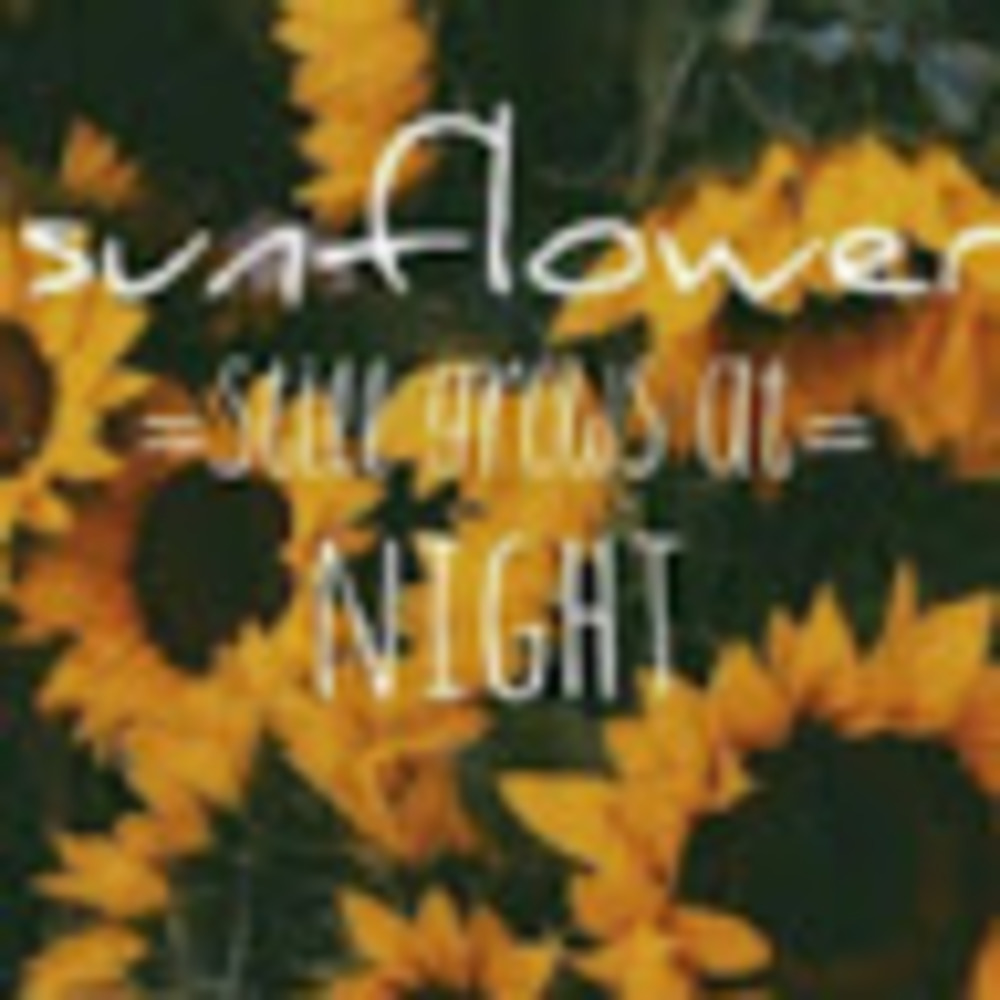 Meet your Posher, Caitlin